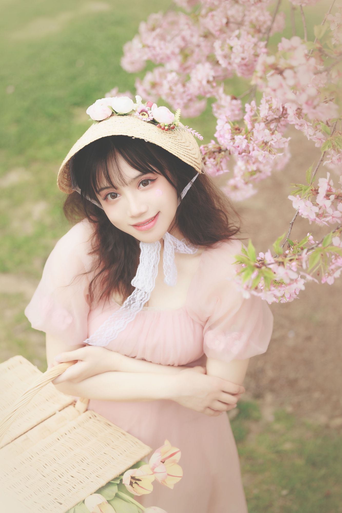 No.014-樱之浪漫 [23P]-次元堂