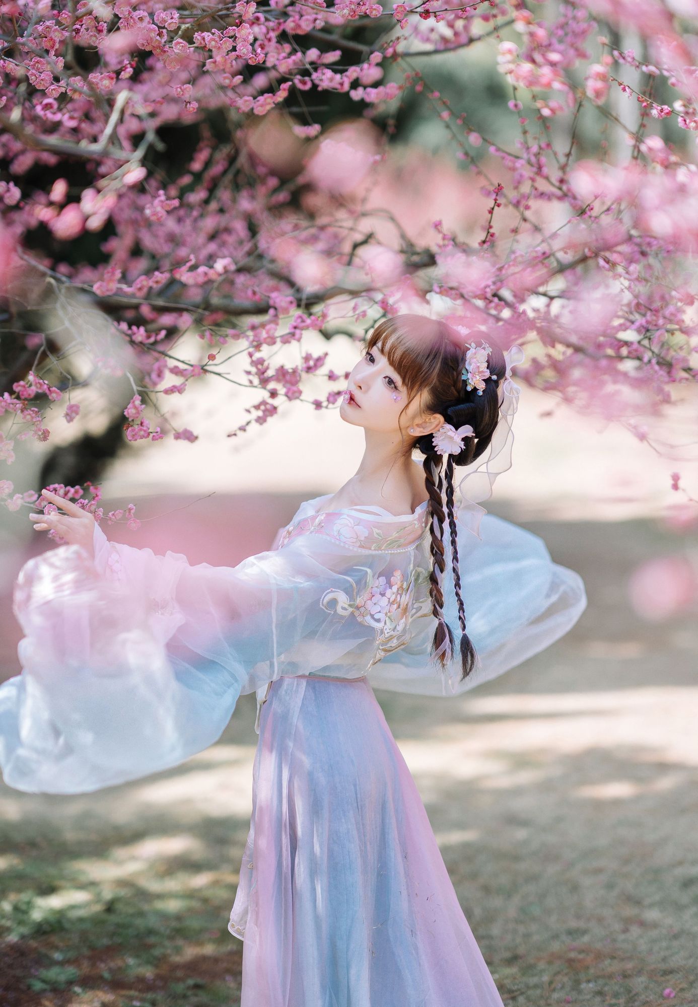 No.007 – 二月梅花 [18P]-次元堂