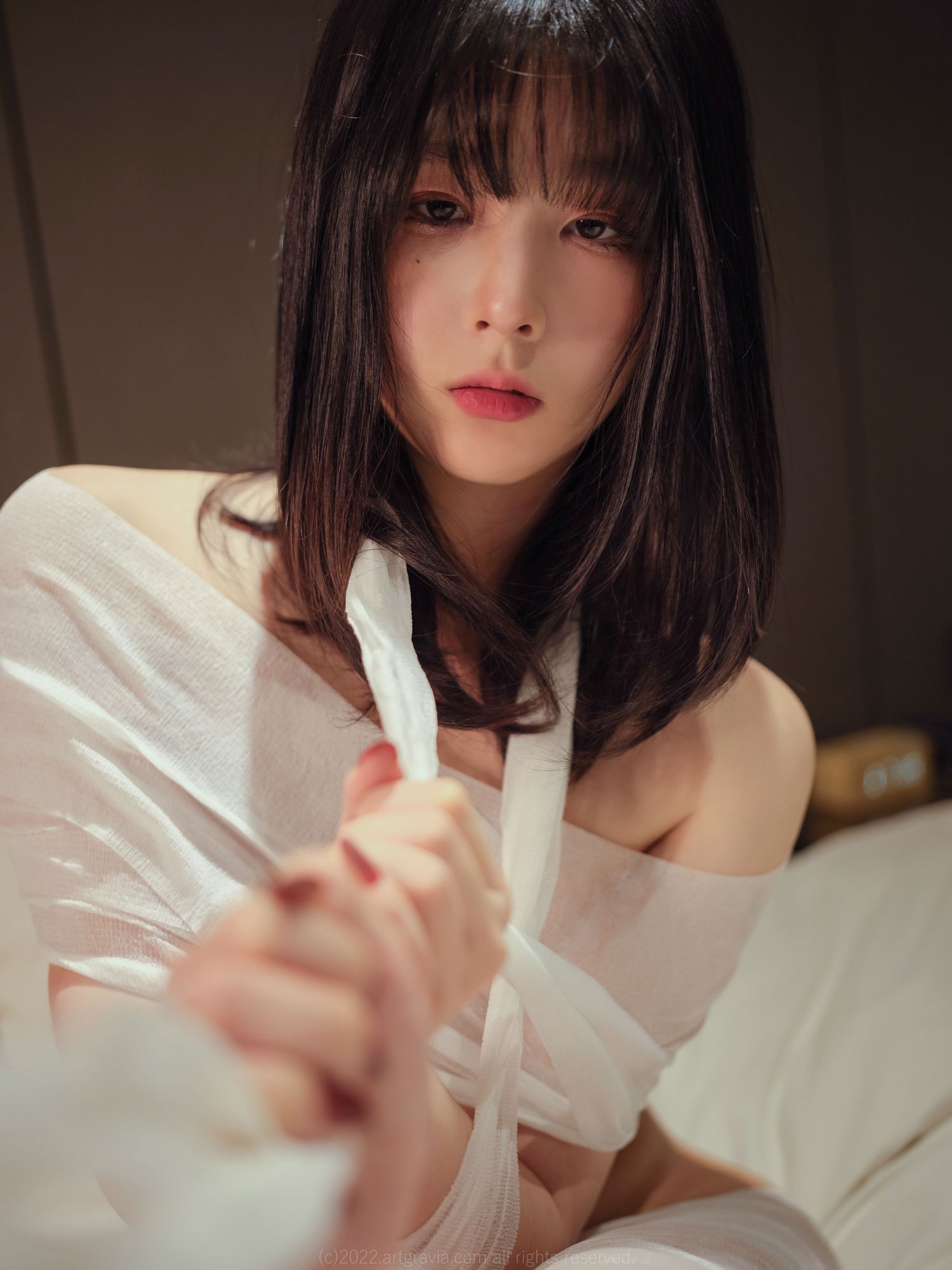 No.022-ARTGRAVIA_VOL369 [105P]-次元堂