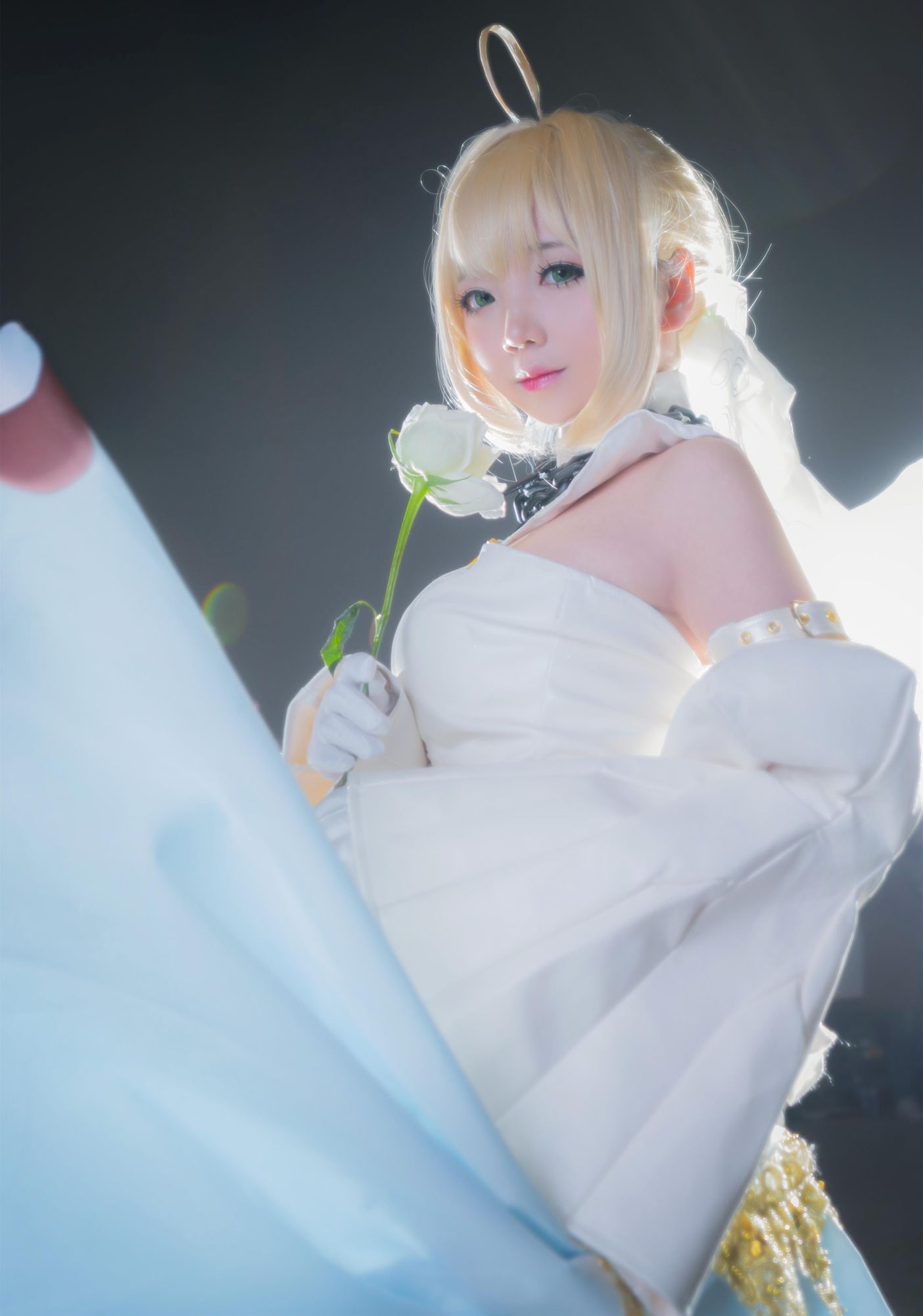 No.049-FATE 花嫁尼禄 [8P]-次元堂