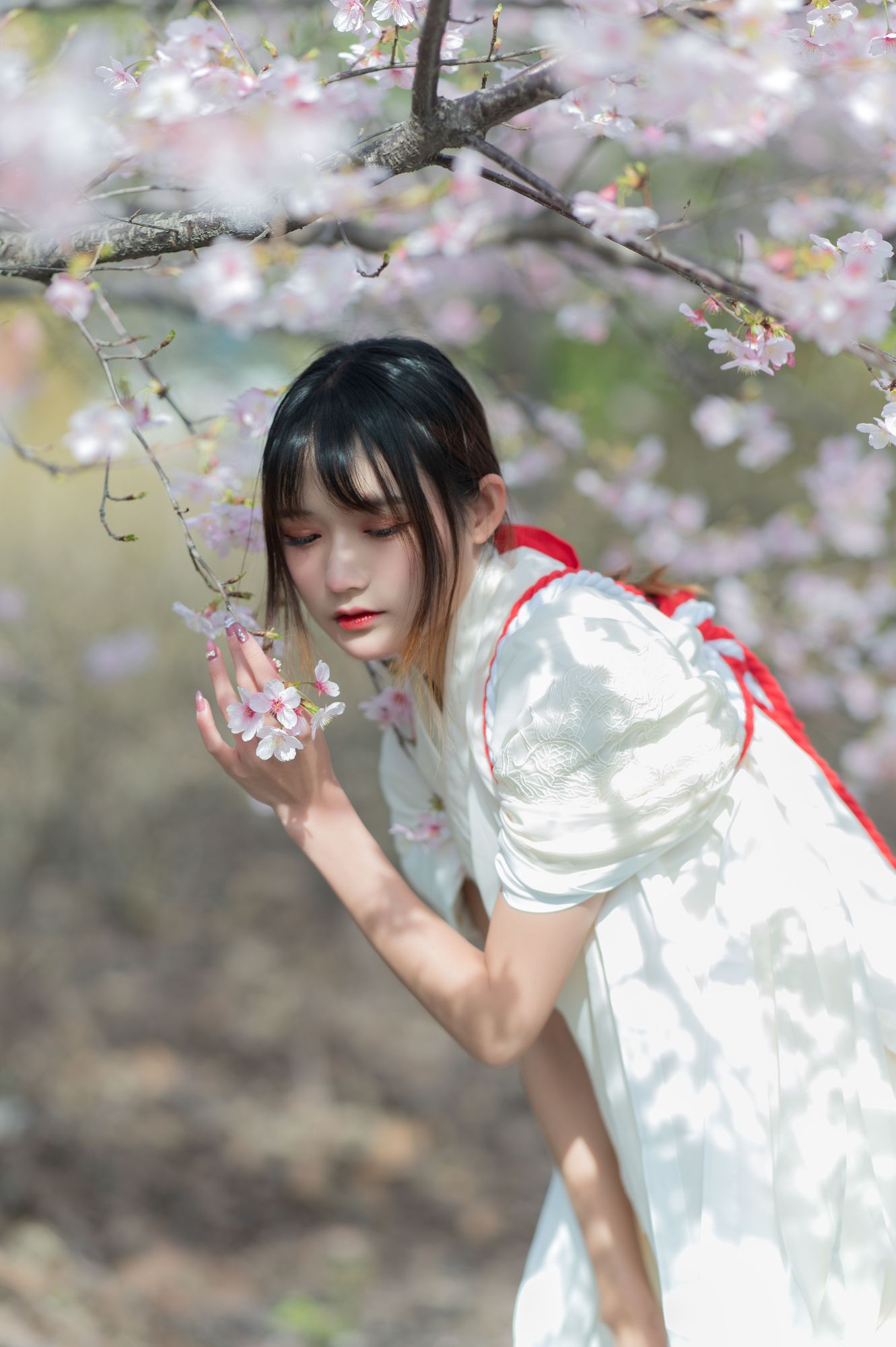 No.067-樱语 [27P]-次元堂