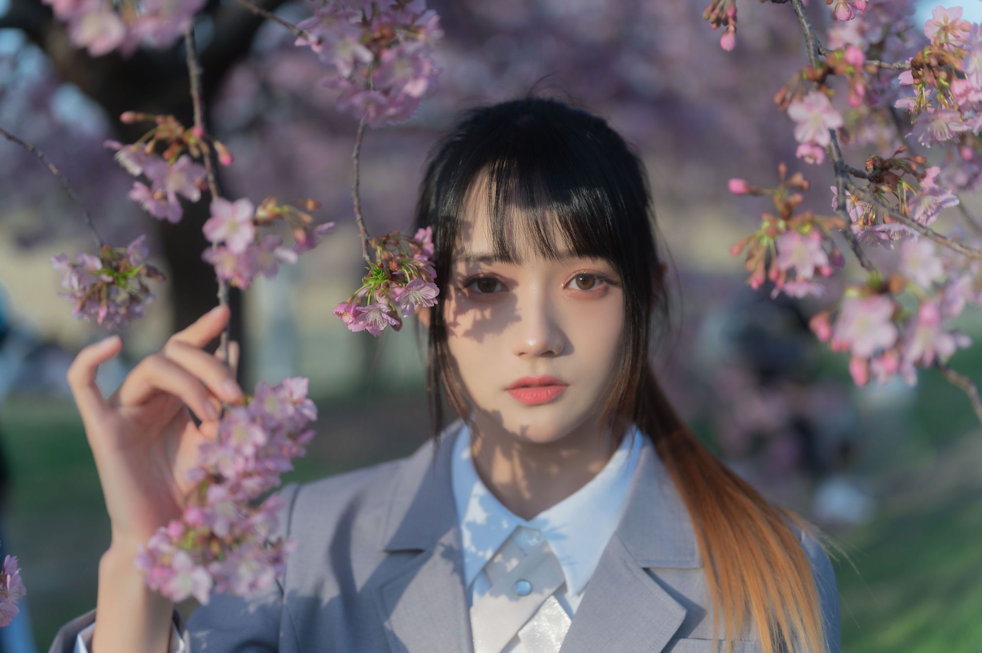 No.033-櫻之聲 [26P]-次元堂