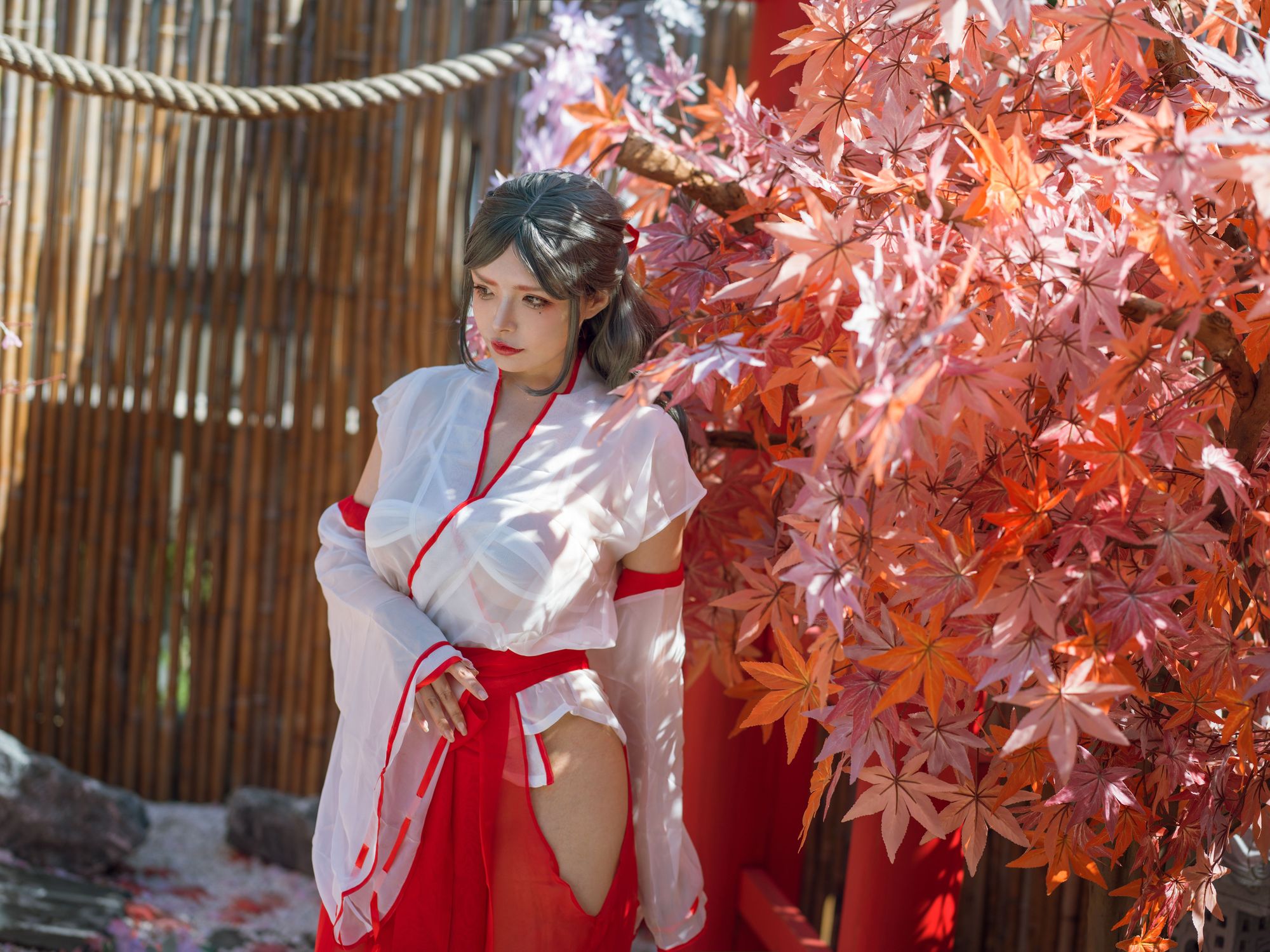 No.106 – 汤池巫女 [53P 1V]-次元堂