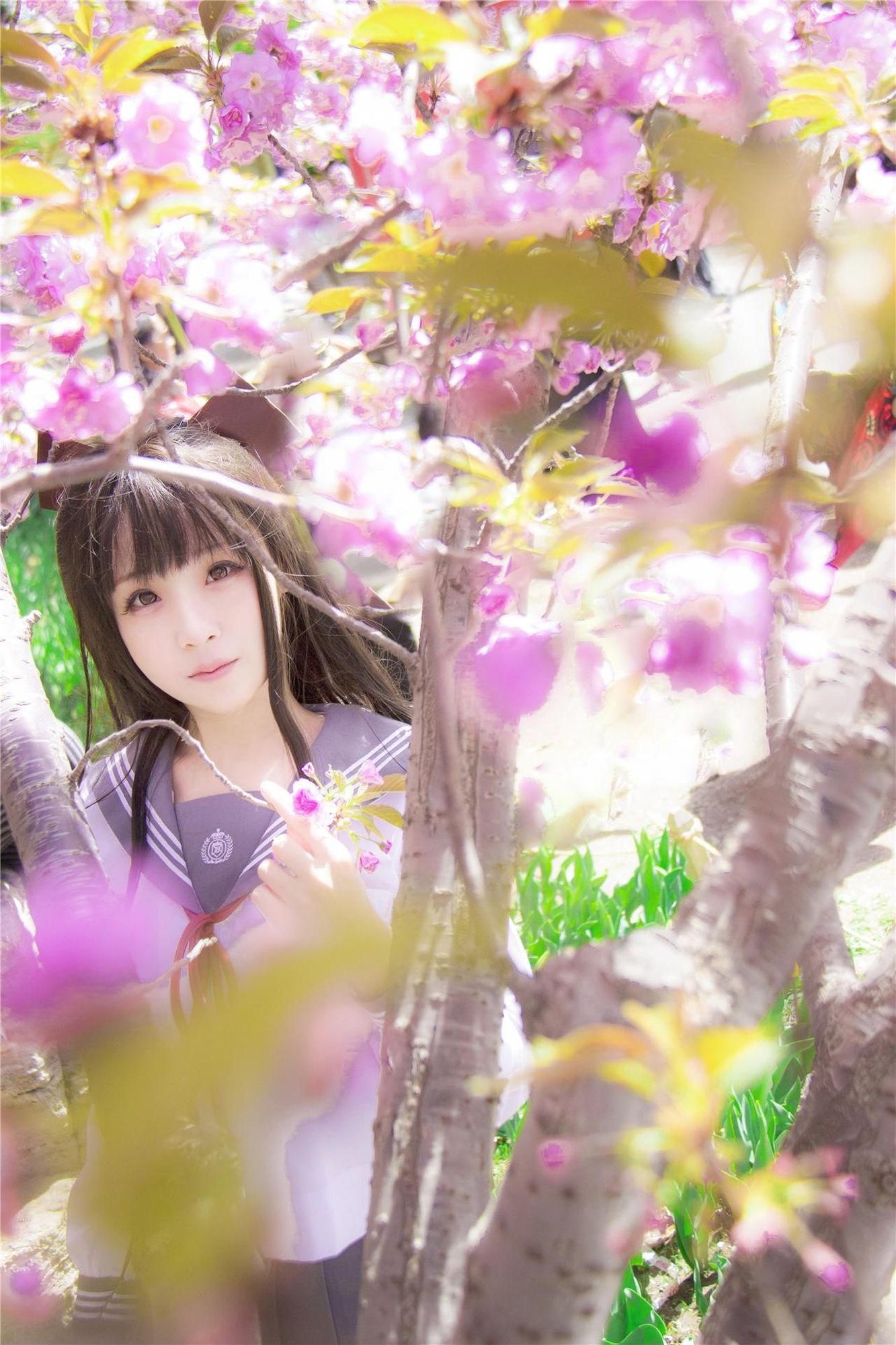 No.007-樱花记 毕业祭 [16P]-次元堂
