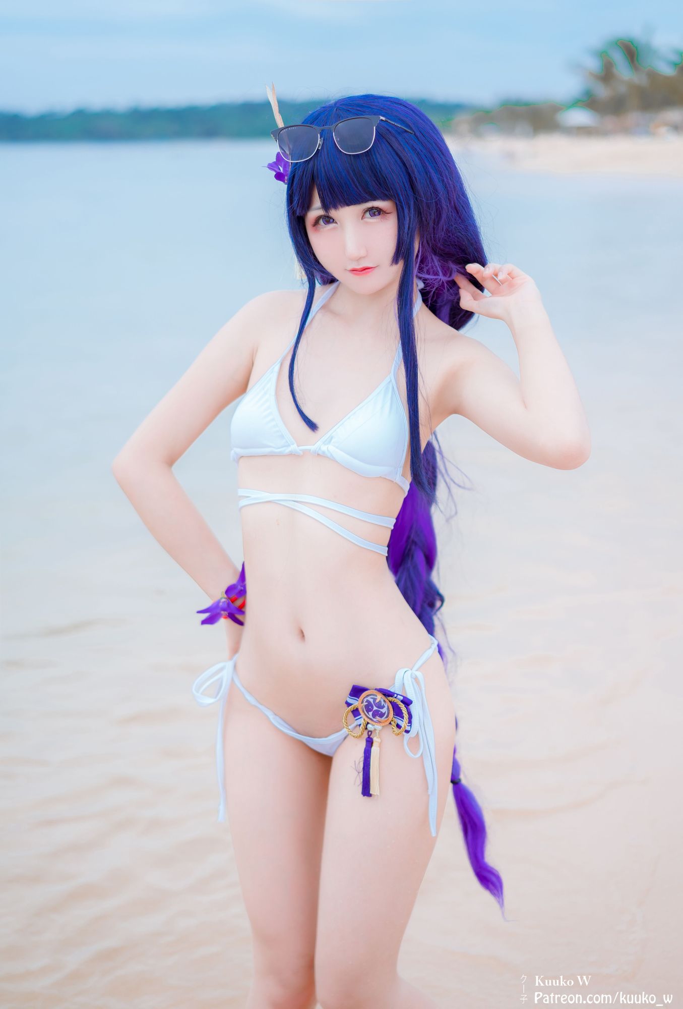 No.088-Raiden [15P]-次元堂