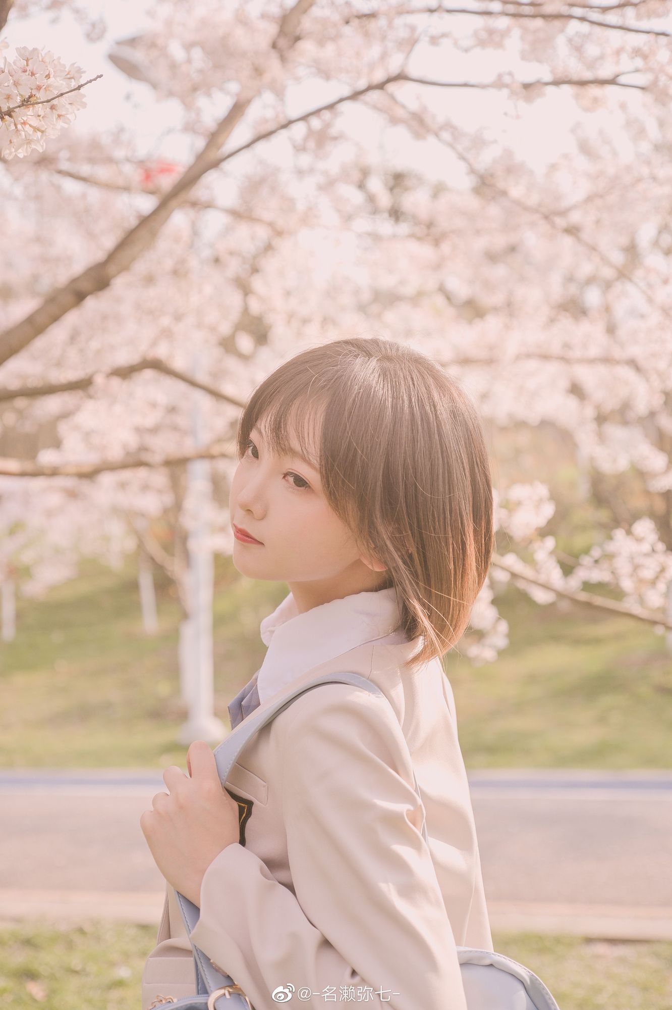 No.003-樱花 [14P]-次元堂