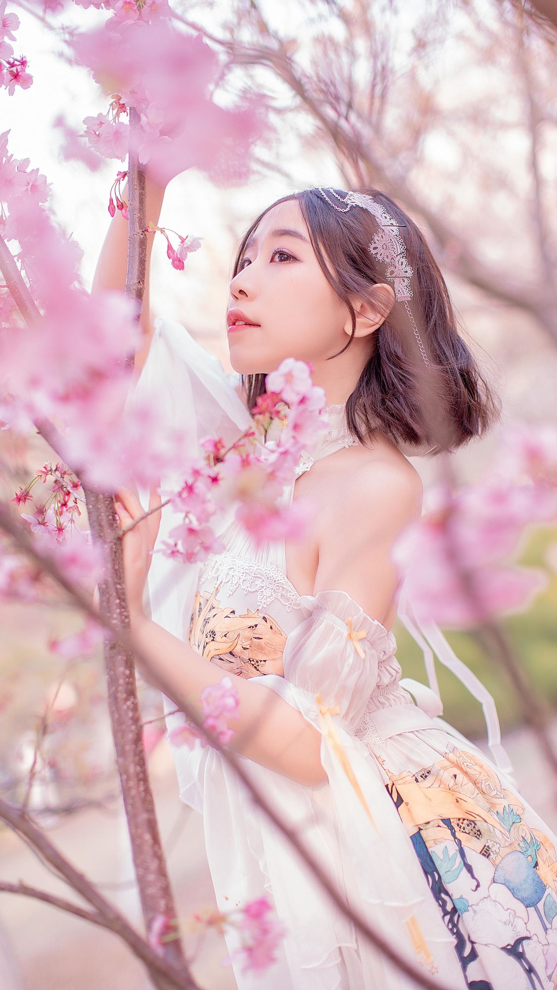 No.013-樱花盛开的季节 [19P]-次元堂
