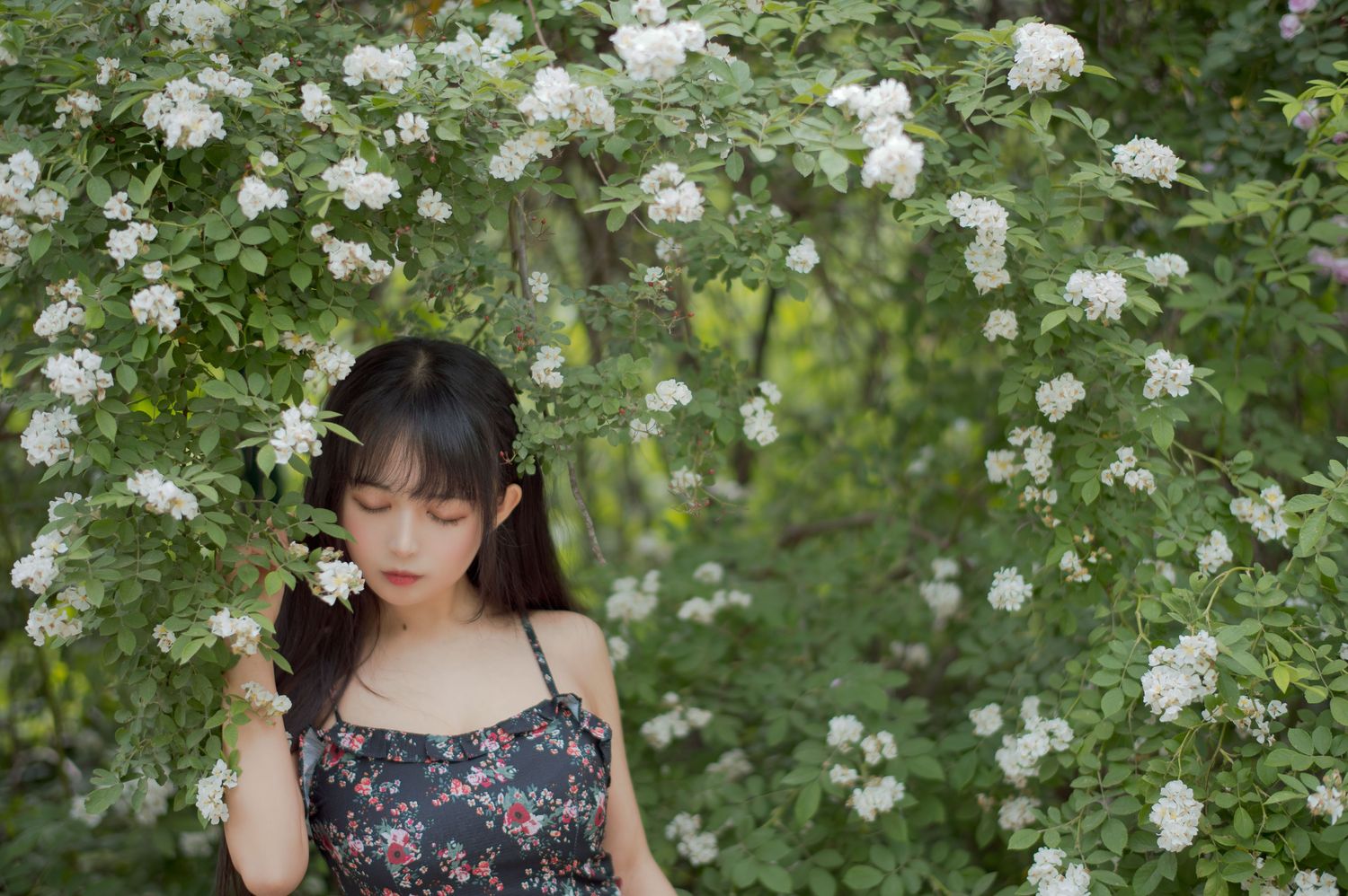 No.022-蔷薇1 [22P]-次元堂