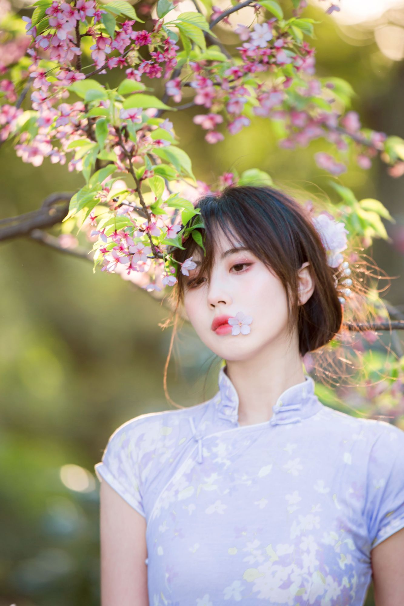 No.023-旗袍 [38P]-次元堂