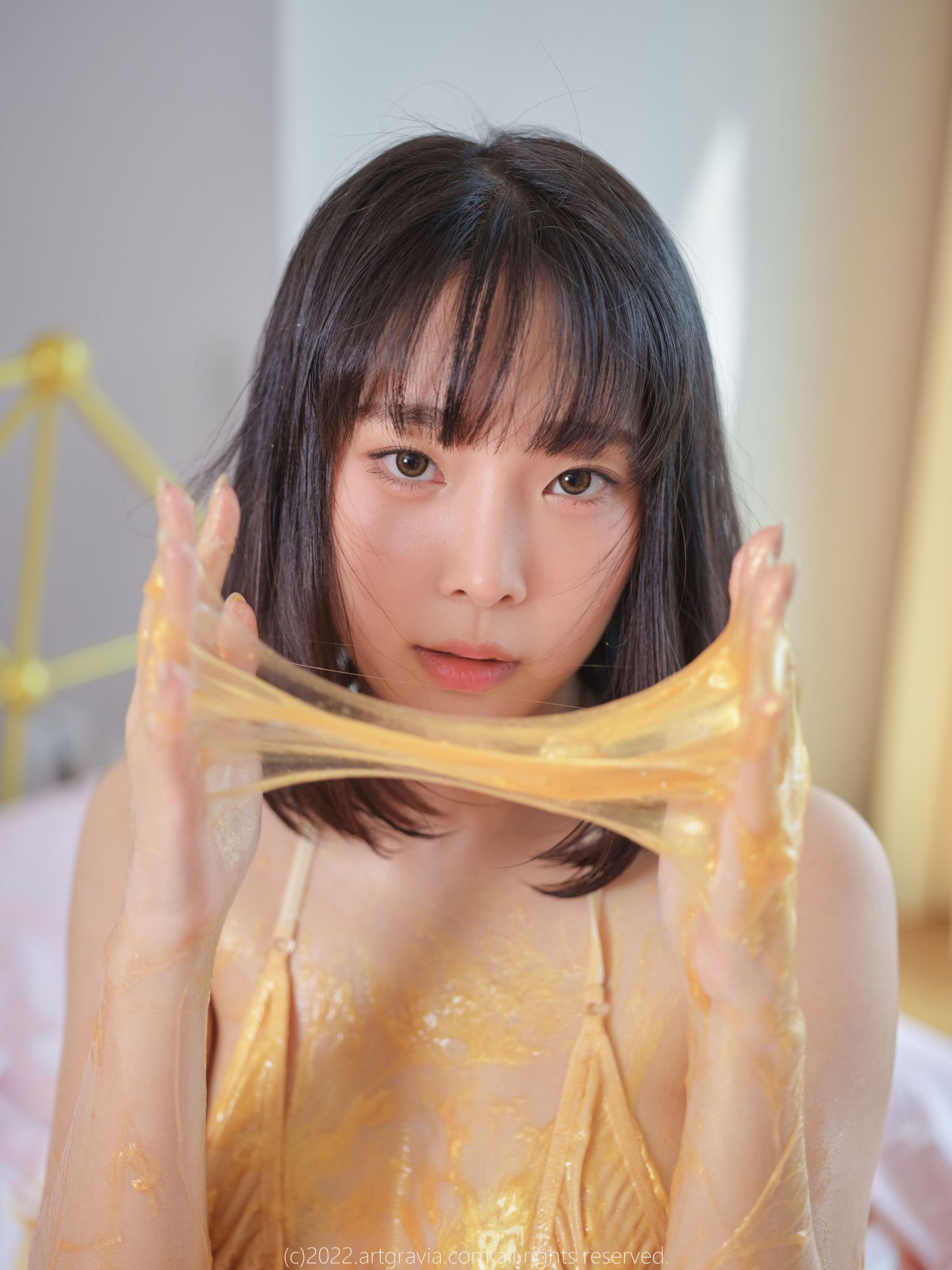 No.062-ARTGRAVIA_VOL447 [102P]-次元堂