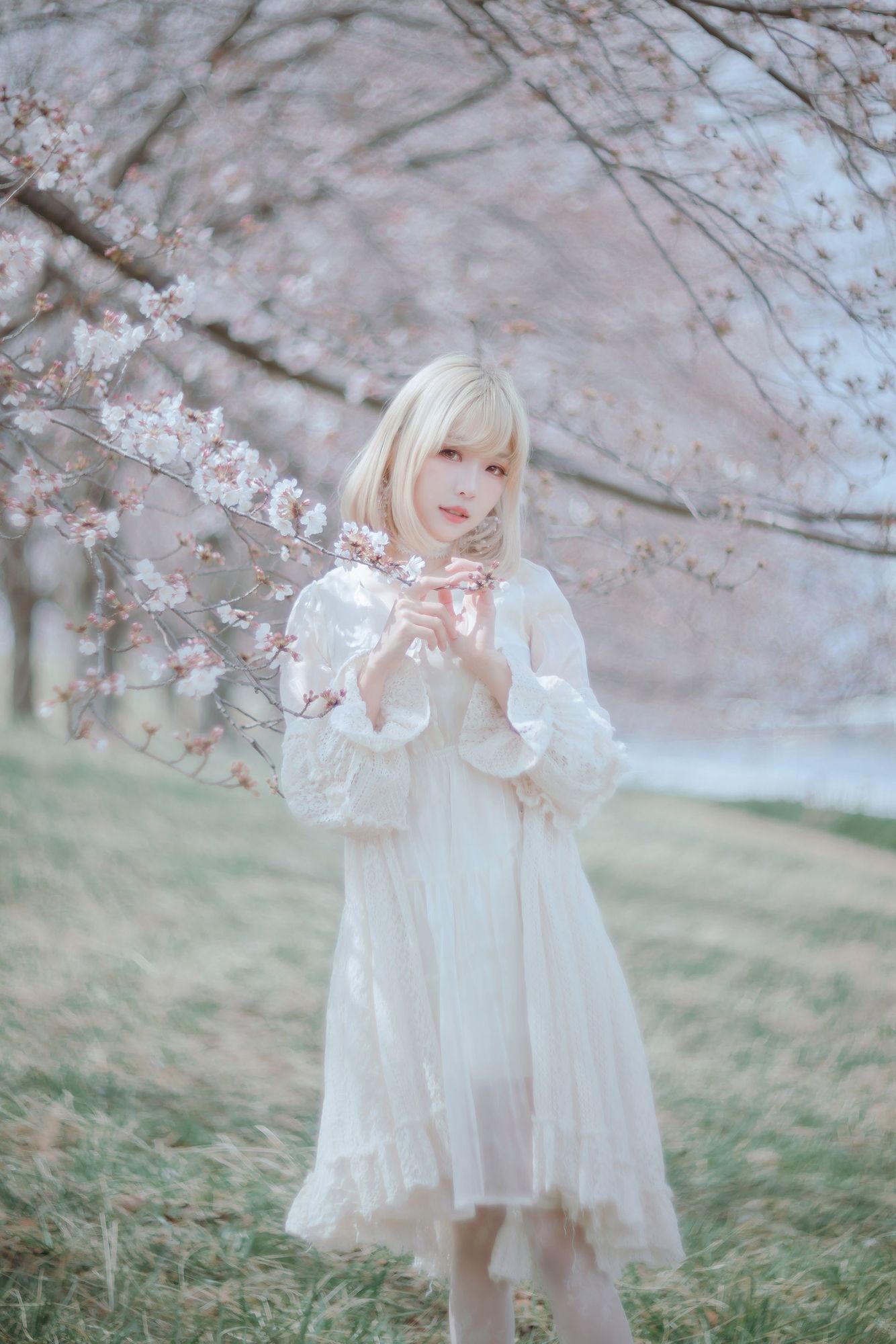 No.043-Sakura桜 2021 – 02.GOLD [24P]-次元堂