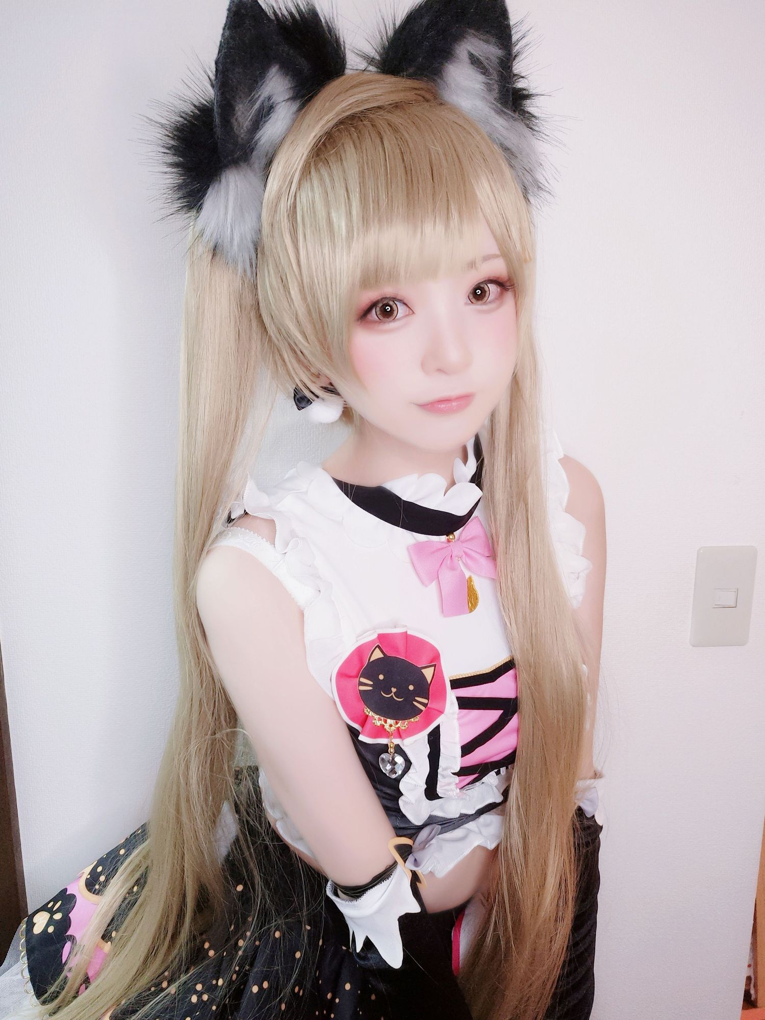 No.022-キャットツインテール南ことり🐾 [15P]-次元堂