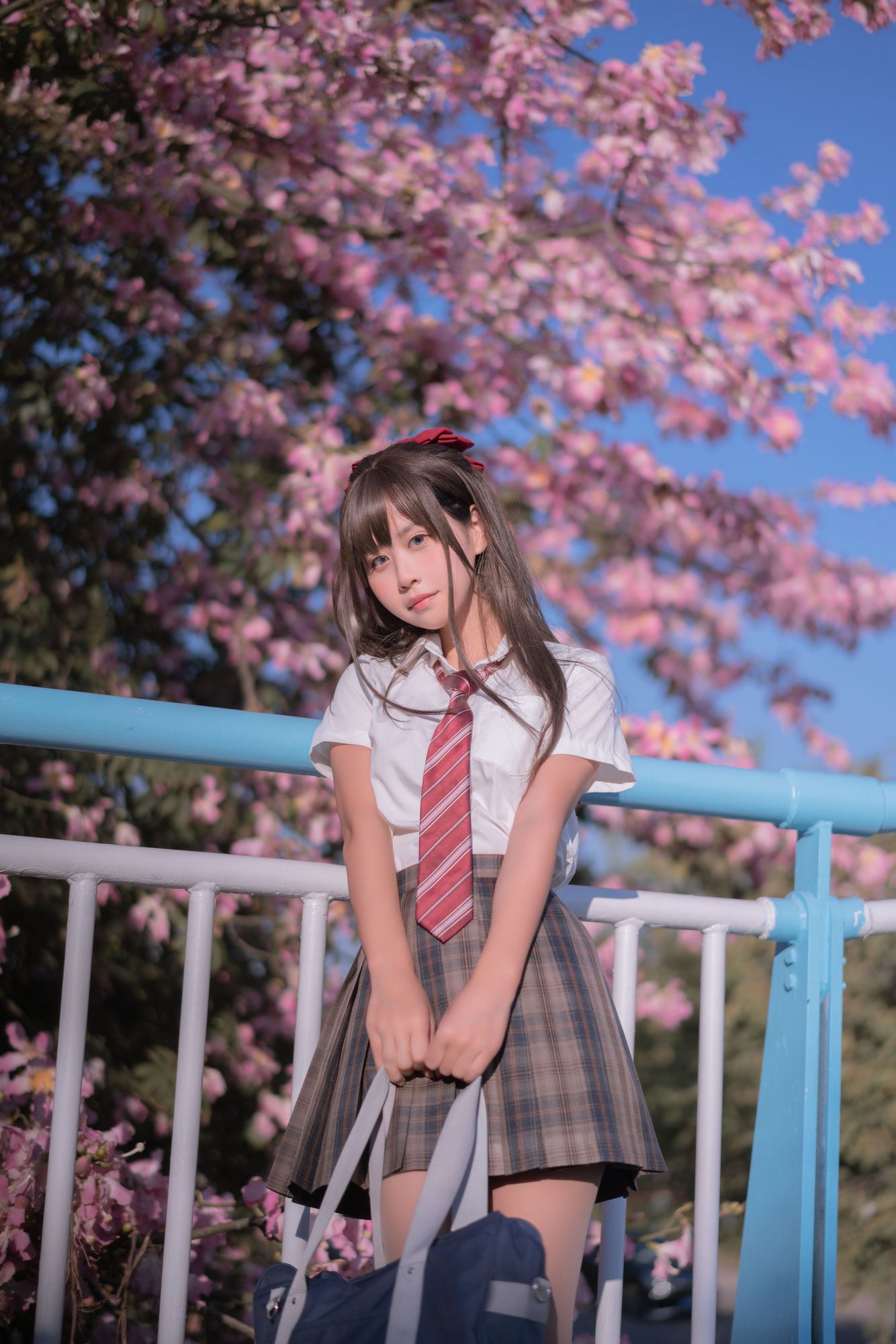 No.026 – 异木棉花 [27P]-次元堂