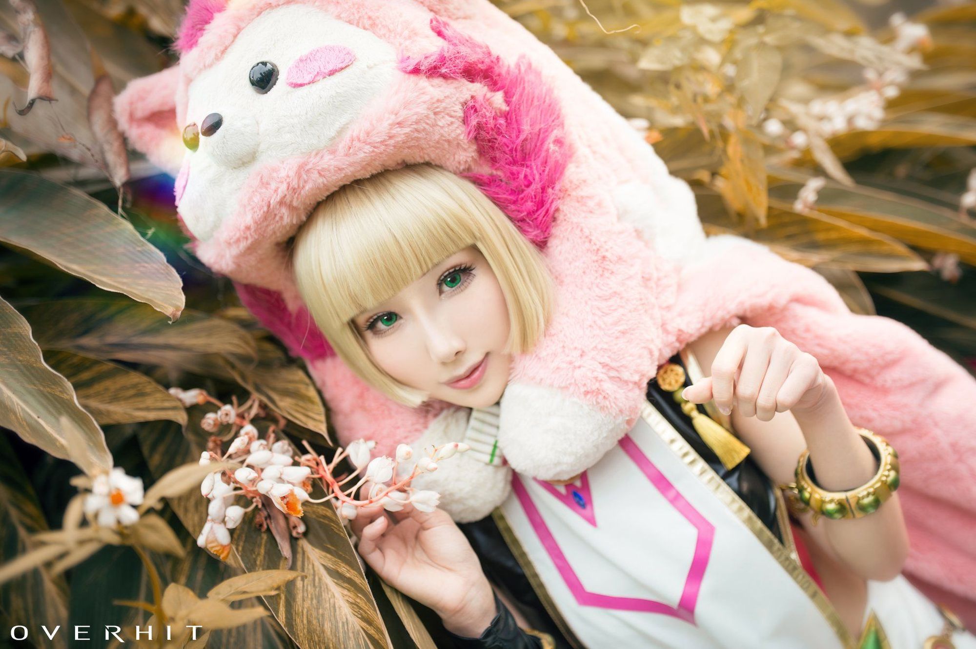 No.031-Overhit [5P]-次元堂