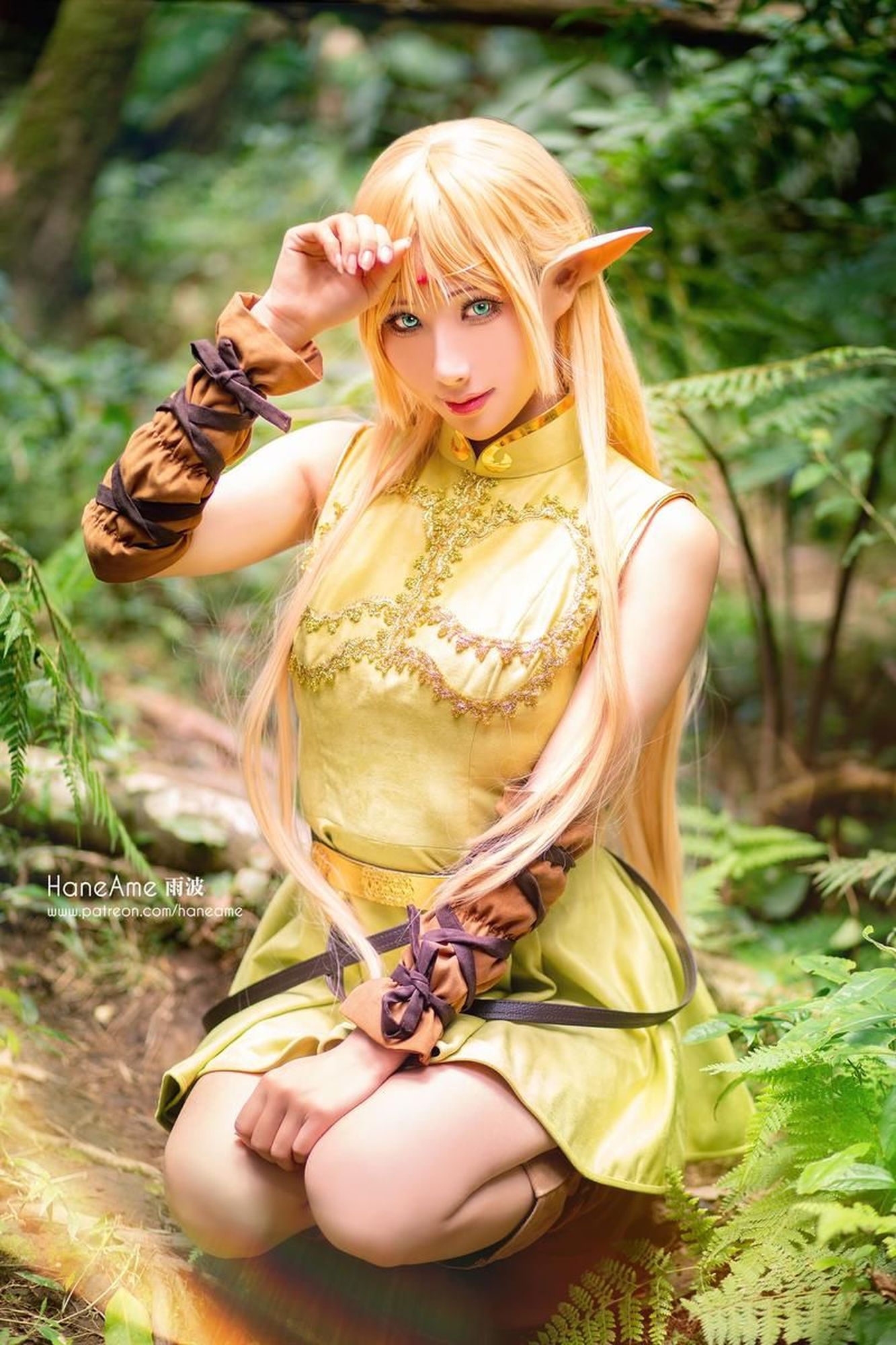 No.035-Record of lodoss Deedlit [6P]-次元堂