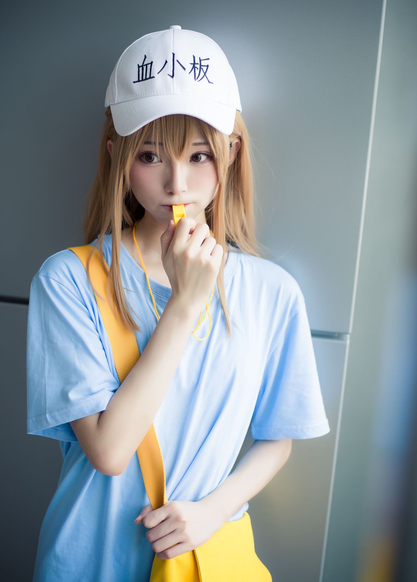 No.042-血小板 [35P]-次元堂