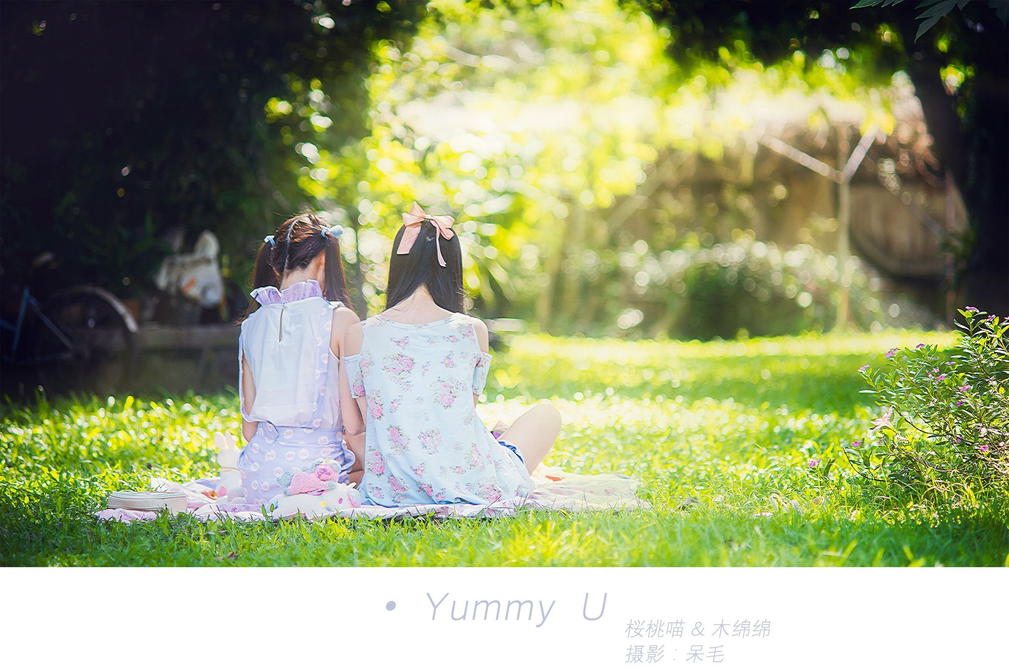 No.088-野餐日记 [10P]-次元堂
