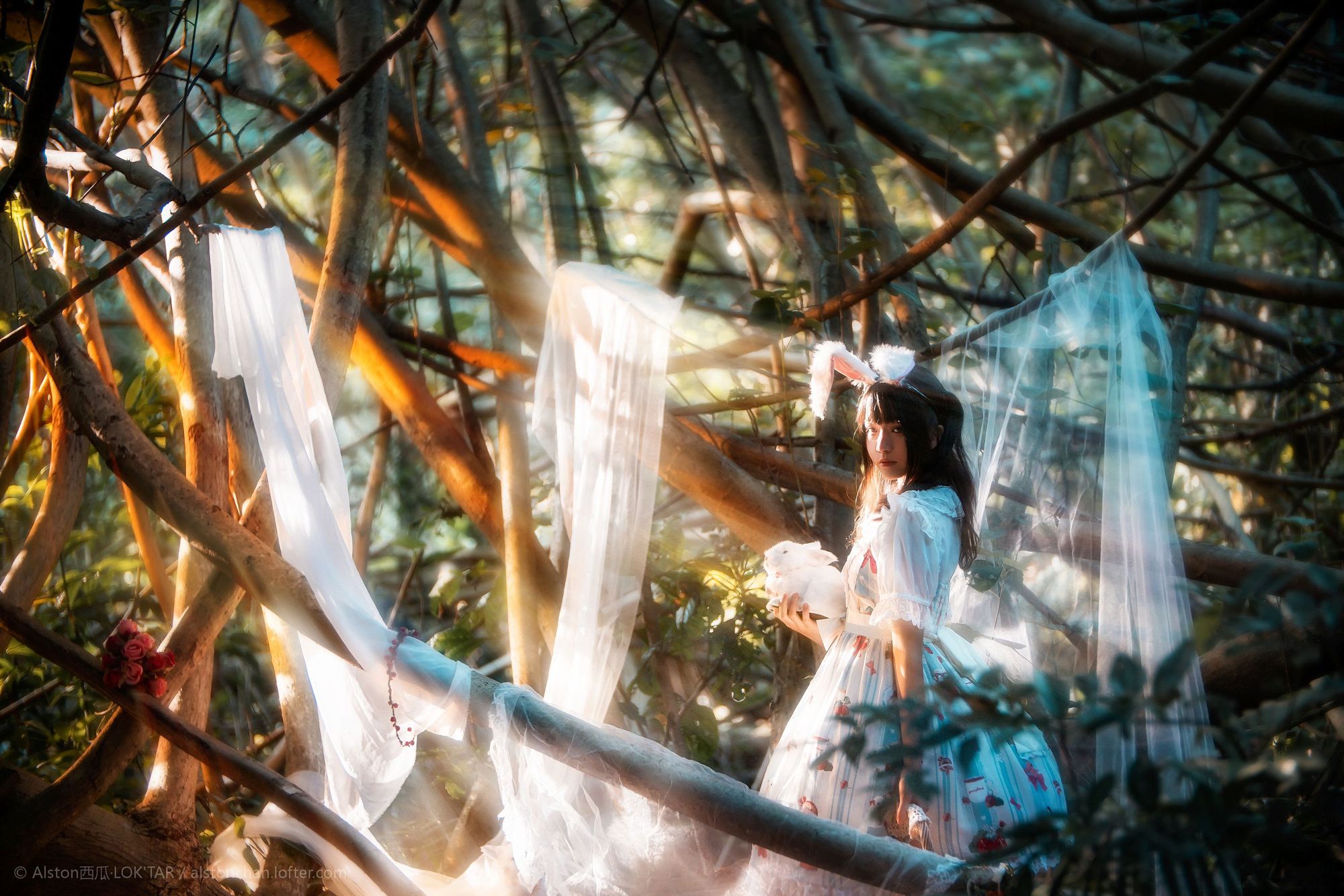 No.114-Lolita [9P]-次元堂