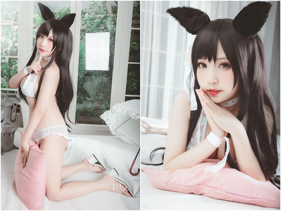 147-猫田圣奈奈[更新至 8 期]-次元堂