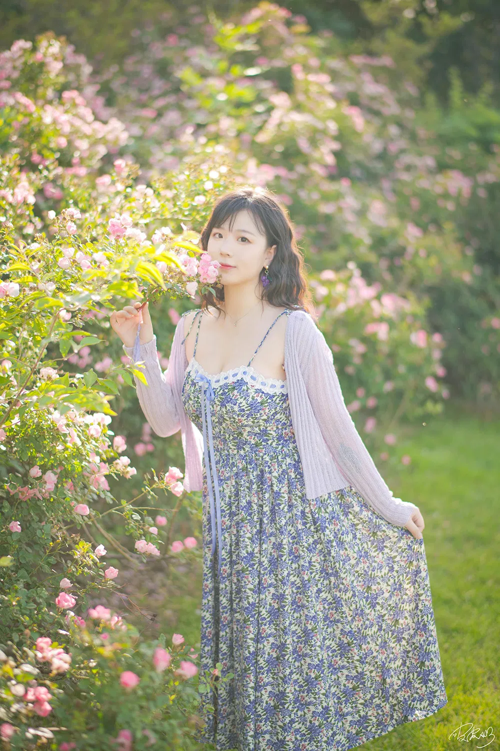 皮皮奶 蔷薇花 [37P-787MB]-次元堂